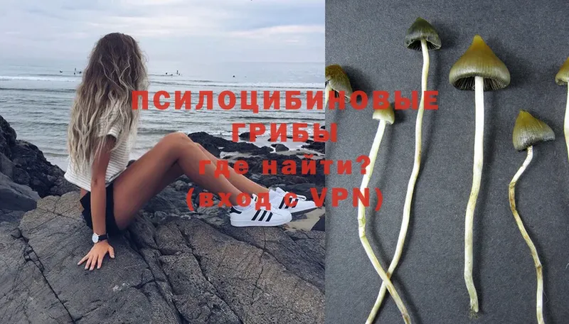 Псилоцибиновые грибы Magic Shrooms  KRAKEN как зайти  Уссурийск 